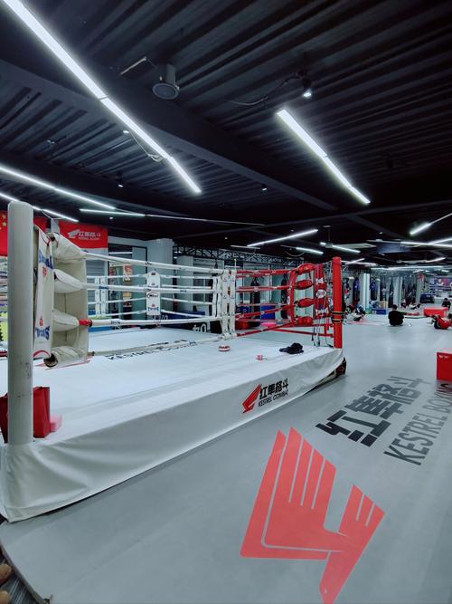 秦皇岛格斗俱乐部健身,适合零基础吗?-第3张图片-德高鼎泰便民中心 秦皇岛格斗俱乐部健身,适合零基础吗?-第3张图片-德高鼎泰便民中心