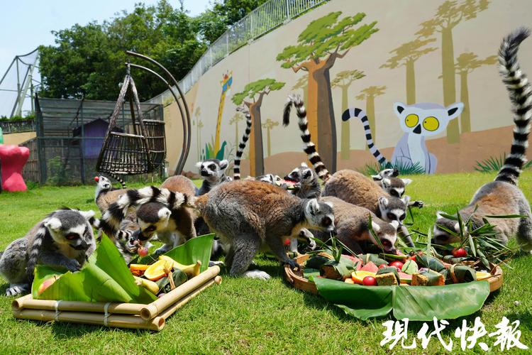 无锡动物园附近酒店怎么选？-第3张图片-德高鼎泰便民中心