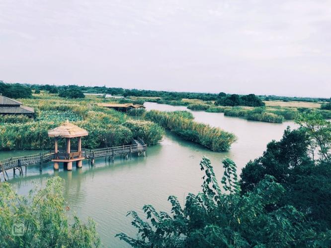 下渚湖湿地附近酒店预订-第2张图片-德高鼎泰便民中心 下渚湖湿地附近酒店预订-第2张图片-德高鼎泰便民中心