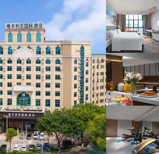 茂名电视台附近酒店预订怎么选？-第1张图片-德高鼎泰便民中心