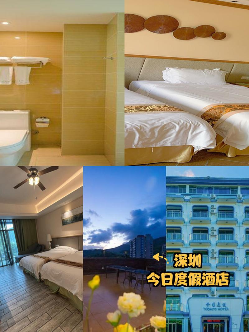 深圳桃源居附近酒店怎么选？-第1张图片-德高鼎泰便民中心