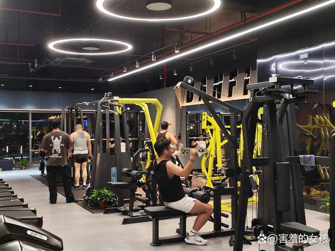 alfa 格斗健身馆-第1张图片-德高鼎泰便民中心