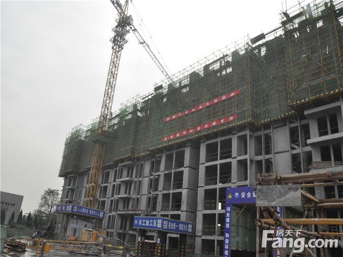 深圳彩生活物业管理公司-第1张图片-德高鼎泰便民中心