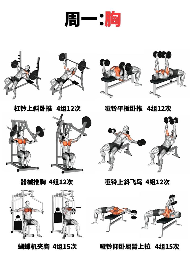 seven健身全解锁，解锁哪些动作与技巧？-第2张图片-德高鼎泰便民中心