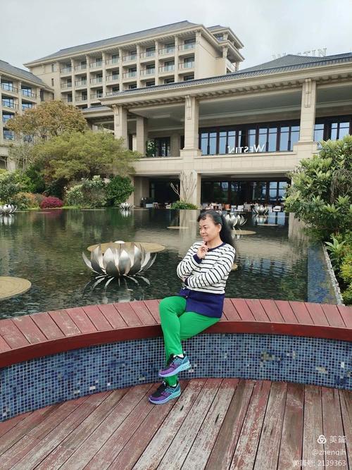 舟山紫竹林附近酒店怎么选？-第3张图片-德高鼎泰便民中心