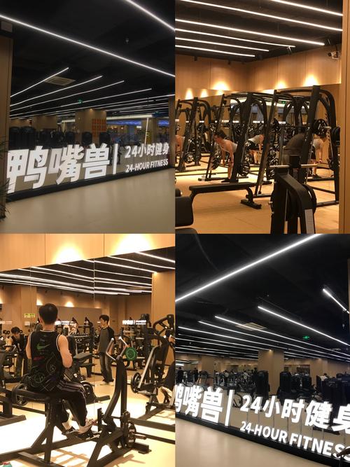 佛山高端健身俱乐部，为何备受青睐？-第3张图片-德高鼎泰便民中心