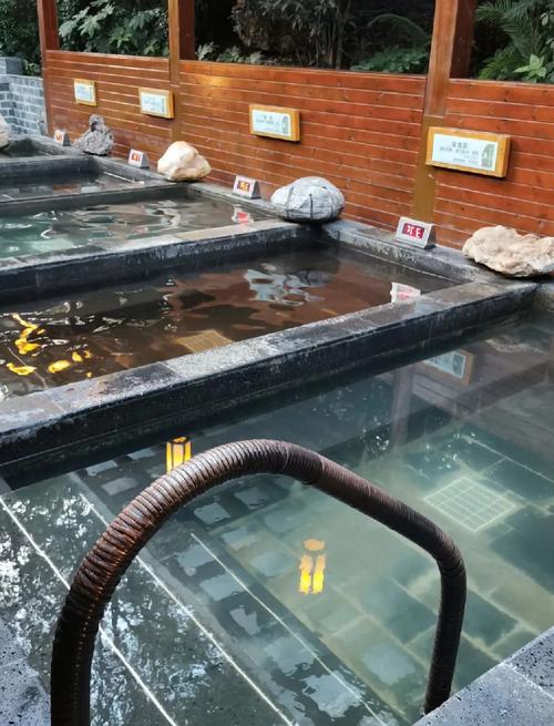 常州恐龙谷温泉酒店预订-第3张图片-德高鼎泰便民中心