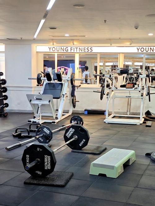 Young健身电话是什么？-第2张图片-德高鼎泰便民中心