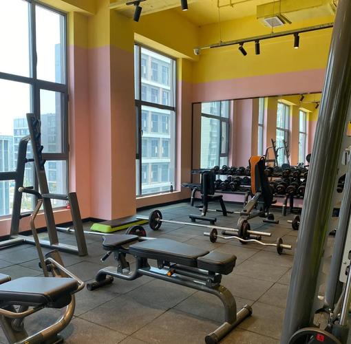 veston健身济南-第1张图片-德高鼎泰便民中心 veston健身济南-第1张图片-德高鼎泰便民中心