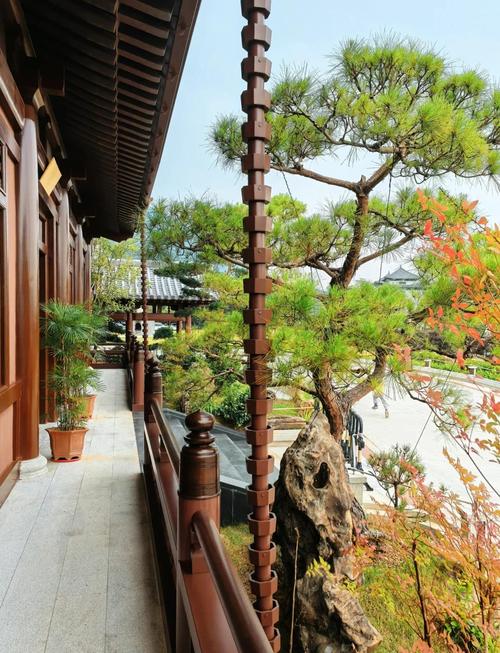 韶关云门寺住宿怎么预订？-第1张图片-德高鼎泰便民中心