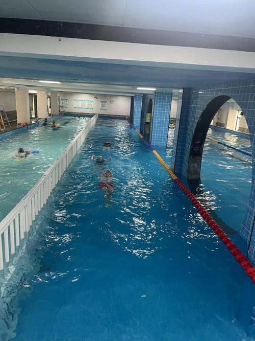 蜜健身游泳健身羽毛球，哪种运动最适合你？-第2张图片-德高鼎泰便民中心