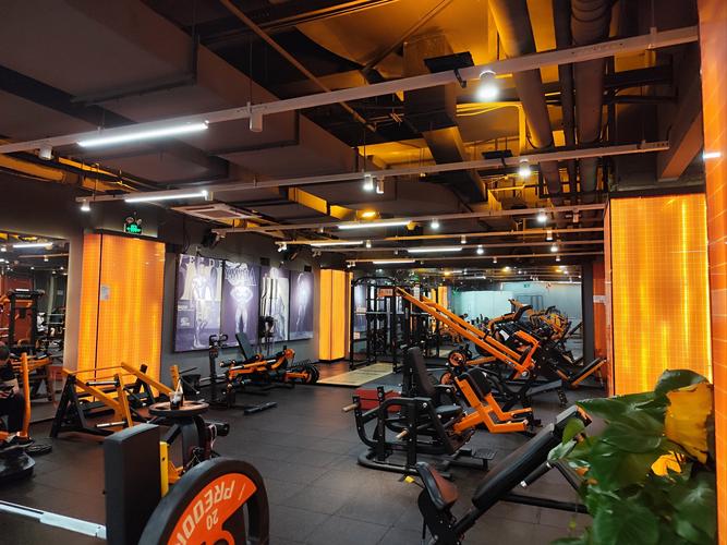 烈火一族健身中心有何独特魅力?-第2张图片-德高鼎泰便民中心 烈火一族健身中心有何独特魅力?-第2张图片-德高鼎泰便民中心