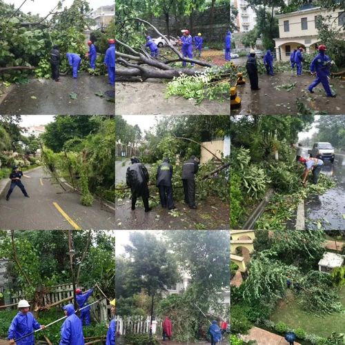 物业项目 大风 工作-第3张图片-德高鼎泰便民中心