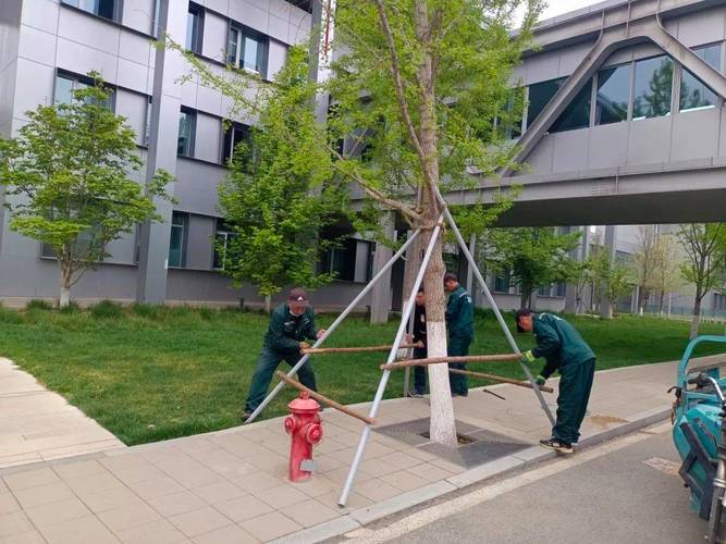 物业项目 大风 工作-第1张图片-德高鼎泰便民中心 物业项目 大风 工作-第1张图片-德高鼎泰便民中心
