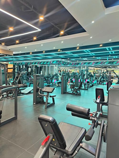 西城区健身房哪家好？求推荐靠谱的！-第3张图片-德高鼎泰便民中心