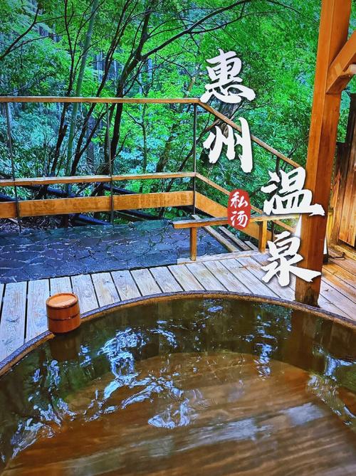 惠州玫瑰温泉酒店怎么预订最划算？-第2张图片-德高鼎泰便民中心