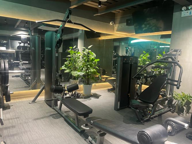 健身工作室创业可行吗？-第2张图片-德高鼎泰便民中心