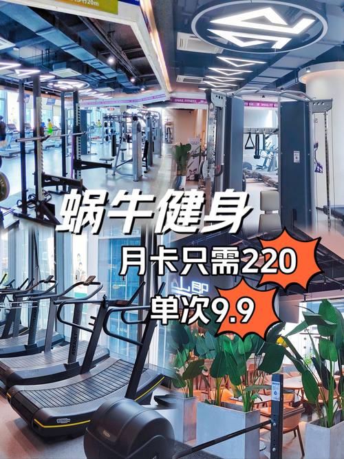 奥森健身年卡价格是多少?-第3张图片-德高鼎泰便民中心 奥森健身年卡价格是多少?-第3张图片-德高鼎泰便民中心