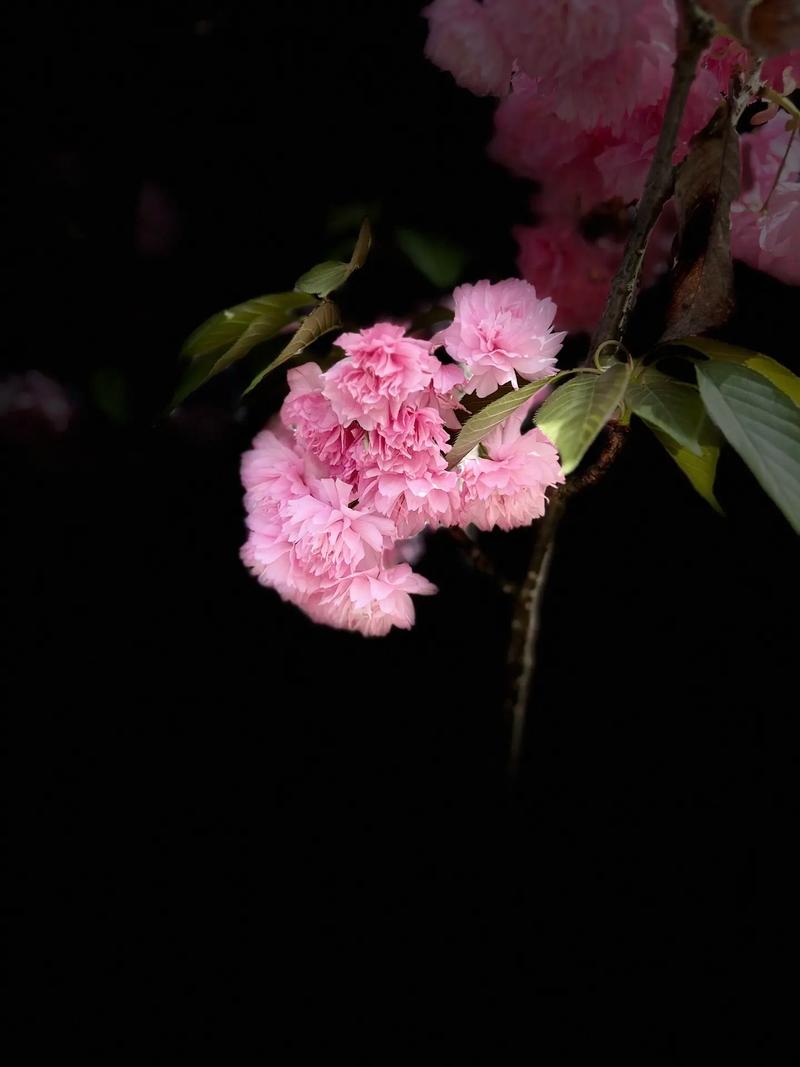 海德北京酒店预订中心怎么预订？-第2张图片-德高鼎泰便民中心