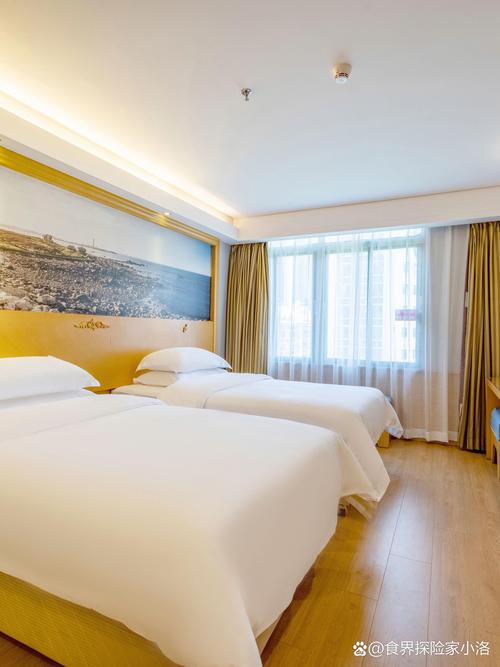 深圳福田布丁酒店怎么预订最划算?-第1张图片-德高鼎泰便民中心 深圳福田布丁酒店怎么预订最划算?-第1张图片-德高鼎泰便民中心