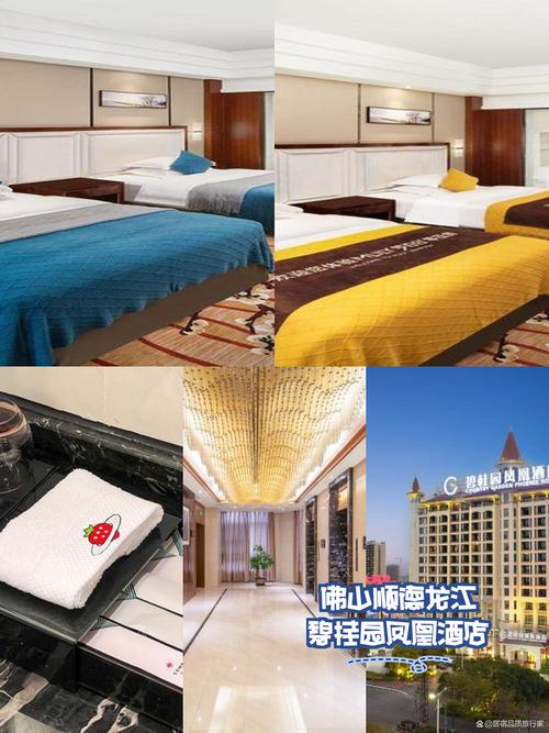 沈阳龙庭公寓酒店怎么预订最划算？-第3张图片-德高鼎泰便民中心