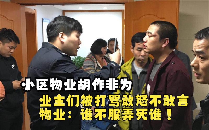 物业为何殴打业主？业主如何清除物业？-第2张图片-德高鼎泰便民中心