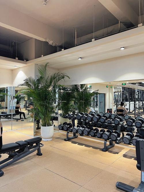 舒仕堡健身会所口碑如何？值得办卡吗？-第3张图片-德高鼎泰便民中心