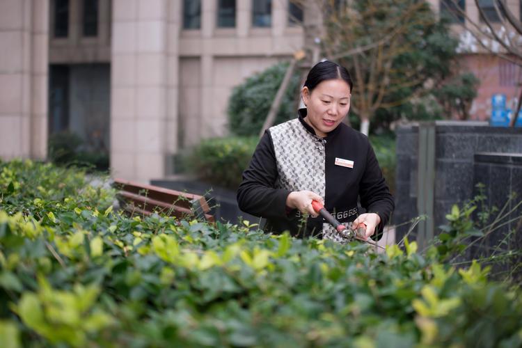 前期物业服务具体指哪些服务内容？-第3张图片-德高鼎泰便民中心