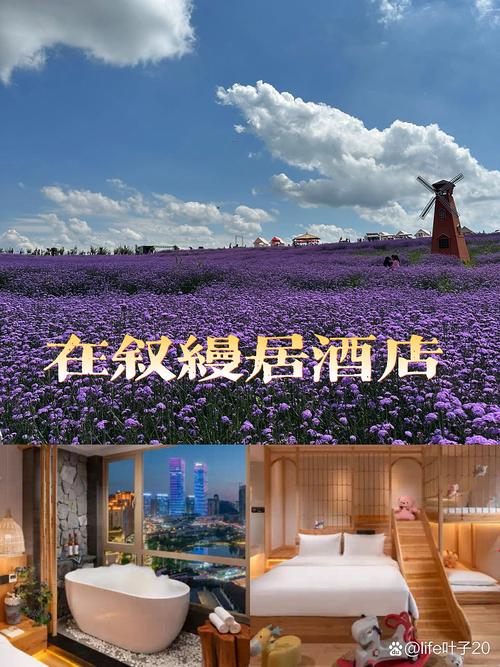 梅林浪漫艺术酒店预订怎么选最划算？-第1张图片-德高鼎泰便民中心