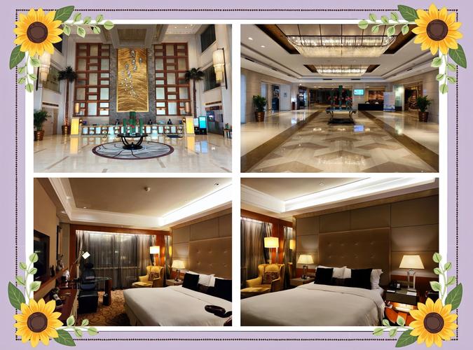 哈尔滨新世纪酒店怎么预订最划算？-第3张图片-德高鼎泰便民中心