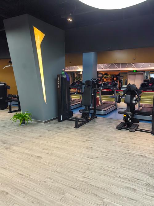 新乡浩尔斯健身房黄冈有何特色?-第1张图片-德高鼎泰便民中心 新乡浩尔斯健身房黄冈有何特色?-第1张图片-德高鼎泰便民中心