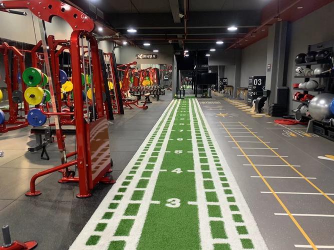 黑骏马健身房山大南路有何特色?-第1张图片-德高鼎泰便民中心 黑骏马健身房山大南路有何特色?-第1张图片-德高鼎泰便民中心