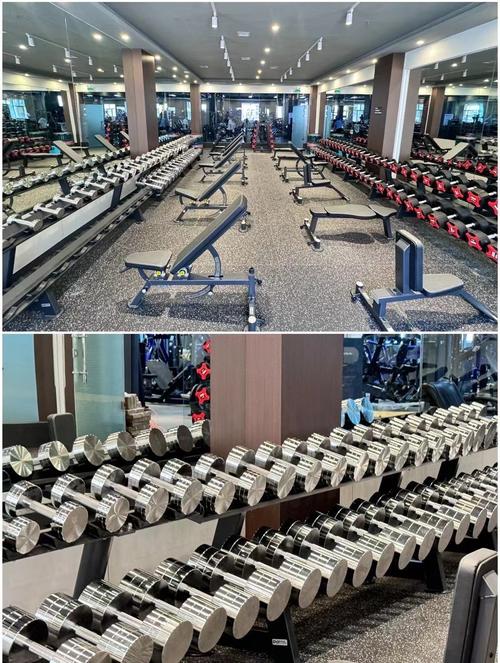 哈尔滨健身房怎么选?-第3张图片-德高鼎泰便民中心 哈尔滨健身房怎么选?-第3张图片-德高鼎泰便民中心