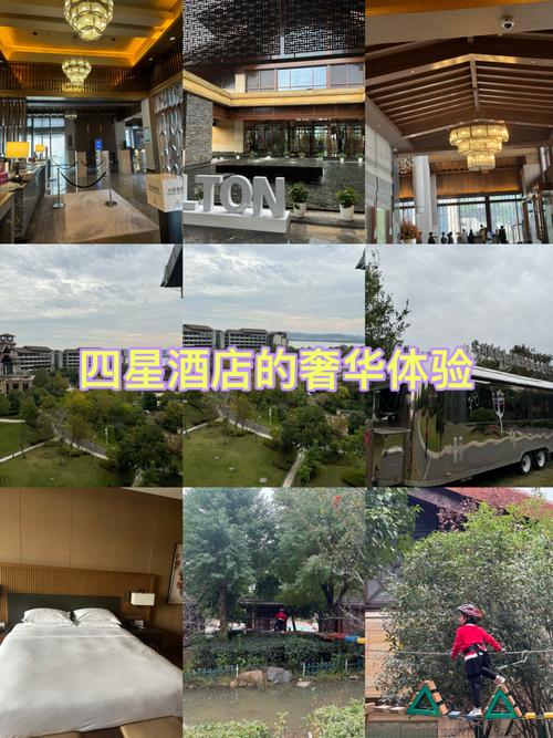 武汉光谷广场酒店预订-第2张图片-德高鼎泰便民中心 武汉光谷广场酒店预订-第2张图片-德高鼎泰便民中心