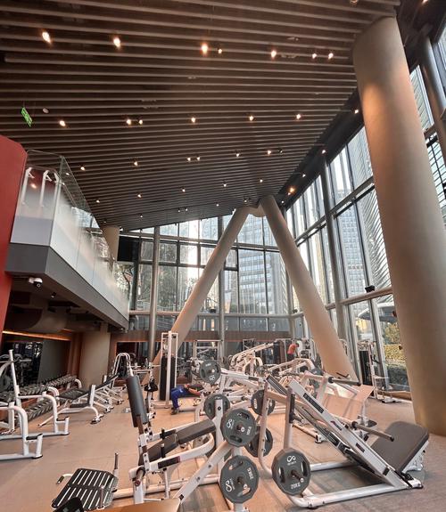 汇金健身会所长沙理工-第1张图片-德高鼎泰便民中心 汇金健身会所长沙理工-第1张图片-德高鼎泰便民中心