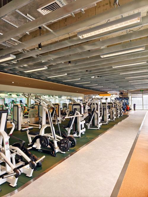 深圳龙华健身房有哪些推荐？-第1张图片-德高鼎泰便民中心