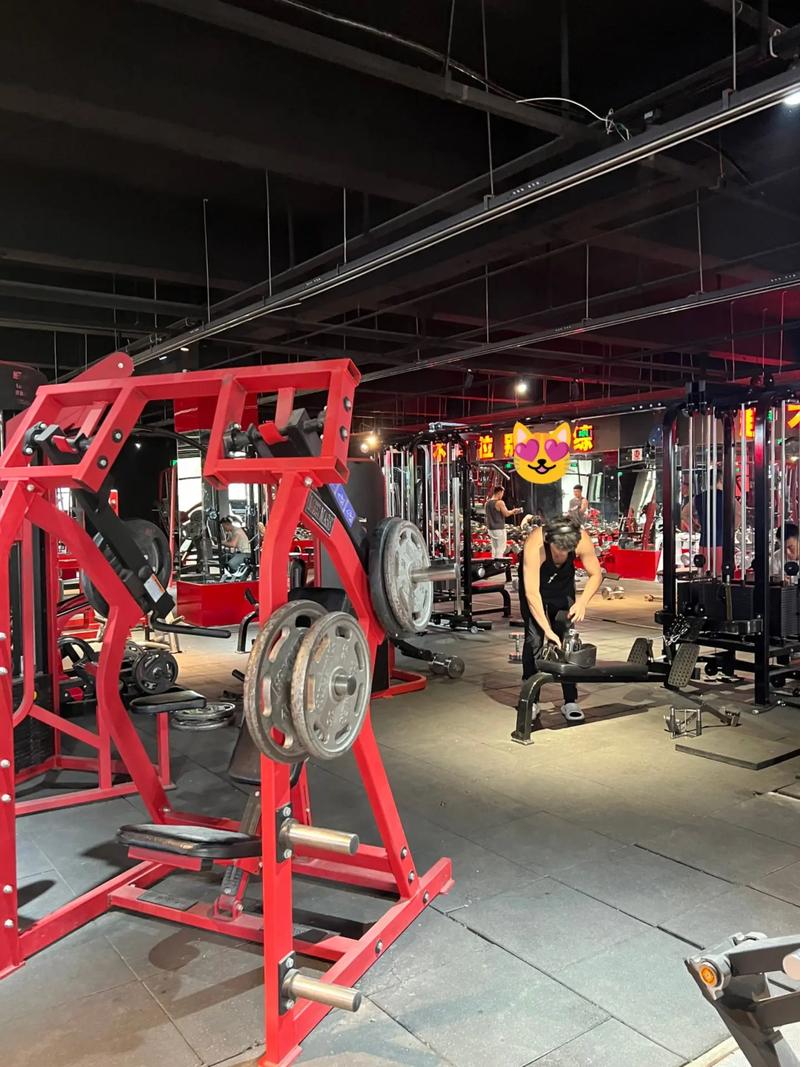 沈阳铁西健身房有哪些推荐？-第2张图片-德高鼎泰便民中心