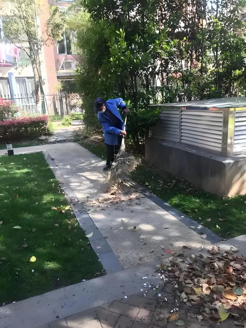 北京三和晨光保洁物业怎么样?-第2张图片-德高鼎泰便民中心 北京三和晨光保洁物业怎么样?-第2张图片-德高鼎泰便民中心