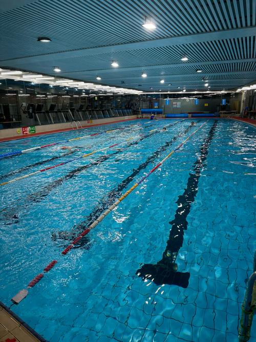 郑州健身游泳馆怎么选？哪家性价比高？-第1张图片-德高鼎泰便民中心