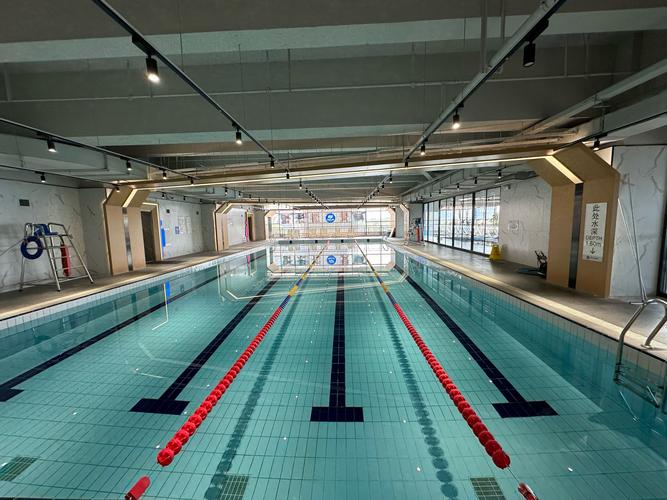 石家庄桥西区游泳健身哪家好？-第2张图片-德高鼎泰便民中心