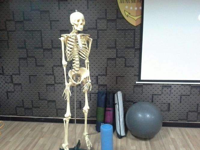 倍龙国际健身学院学费多少?-第3张图片-德高鼎泰便民中心 倍龙国际健身学院学费多少?-第3张图片-德高鼎泰便民中心