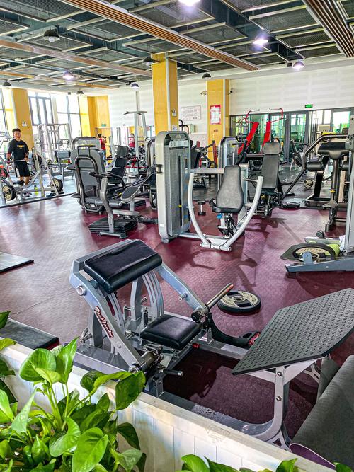 文华酒店24楼健身室有何特色？-第1张图片-德高鼎泰便民中心