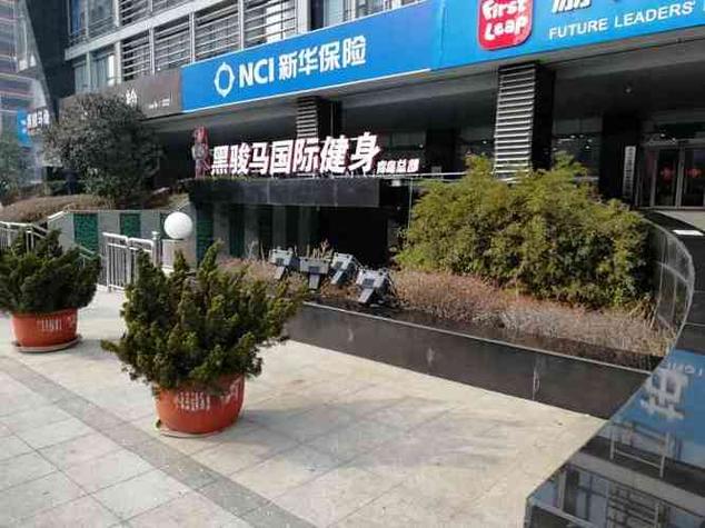 黑骏马健身俱乐部官网有什么特色服务？-第1张图片-德高鼎泰便民中心