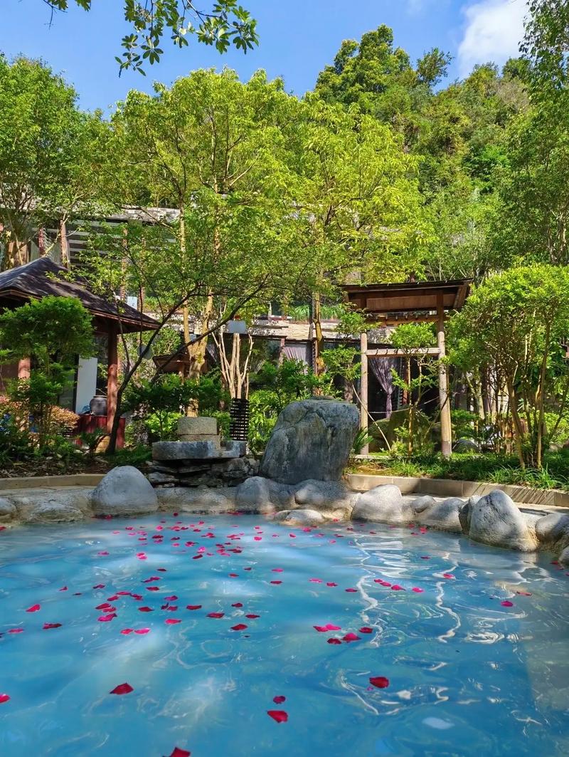 温泉假日温泉酒店预订-第2张图片-德高鼎泰便民中心