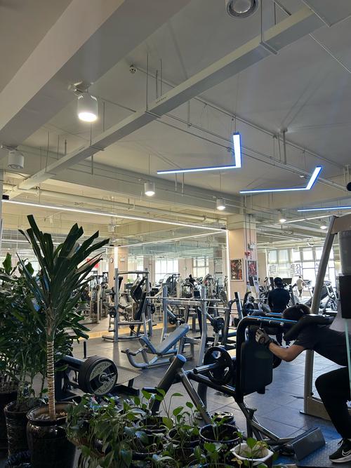 乌鲁木齐健身房哪里找？-第2张图片-德高鼎泰便民中心