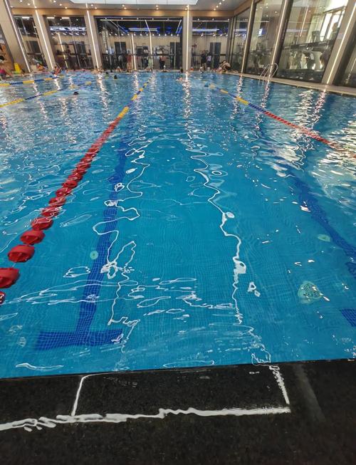 沈阳游泳健身馆哪家好-第2张图片-德高鼎泰便民中心
