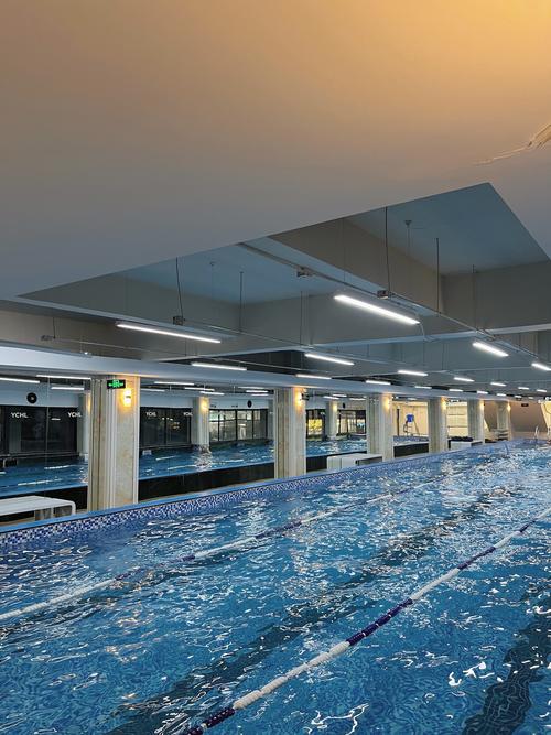 沈阳游泳健身馆哪家好-第3张图片-德高鼎泰便民中心