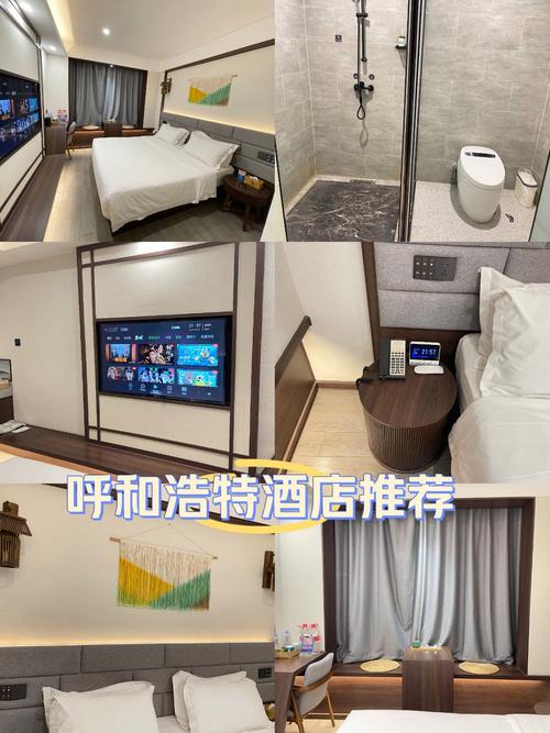 呼和浩特主题酒店哪家好？预订有什么技巧？-第1张图片-德高鼎泰便民中心