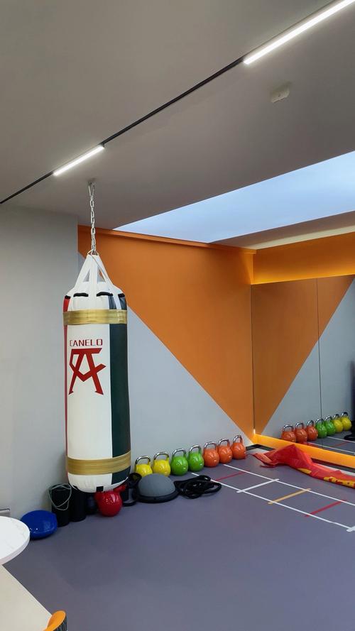 沙井哪家健身俱乐部最好？-第1张图片-德高鼎泰便民中心