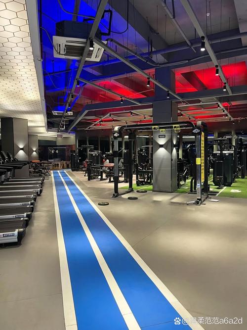 大连力美健健身俱乐部-第3张图片-德高鼎泰便民中心
